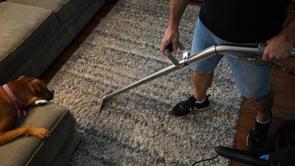 carpet cleaning