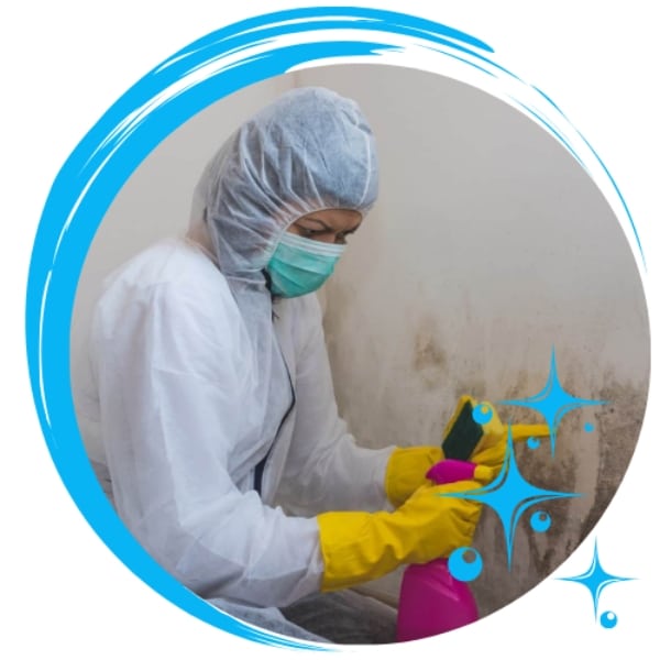 Rid you home of harmful germs and viruses with professional disinfecting services