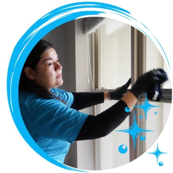 Window Cleaning Services